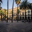 EU ESP CAT BAR Barcelona 2017JUL21 056  Fredy and I decided to head back to our lodgings, but not before checking out the   Plaça Reial   ( Royal Plaza ). : 2017, 2017 - EurAisa, Barcelona, Catalonia, DAY, Europe, Friday, July, Southern Europe, Spain